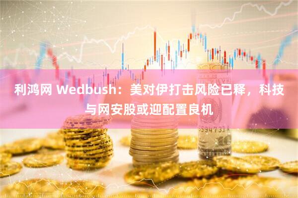 利鸿网 Wedbush：美对伊打击风险已释，科技与网安股或迎配置良机