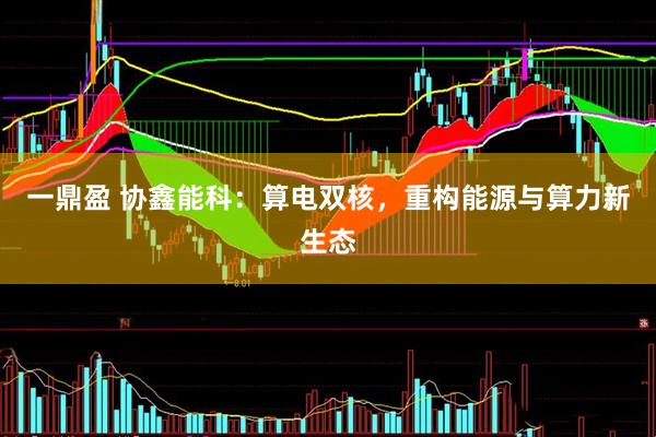 一鼎盈 协鑫能科：算电双核，重构能源与算力新生态